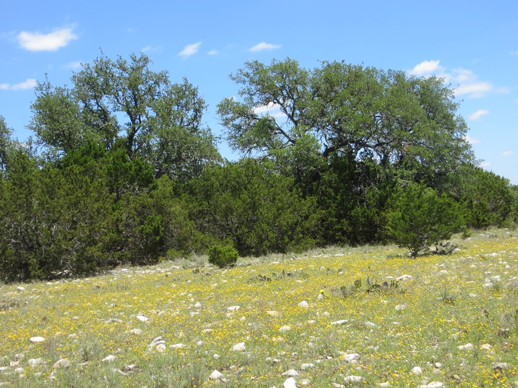 24 Kc 24 Junction, TX 76849 - Photo 11 of 23 a view of yard