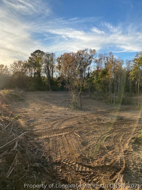 1634 Sweetie Road Fayetteville, NC 28312 - Photo 19 of 26 Pic from when cleared a few years ago