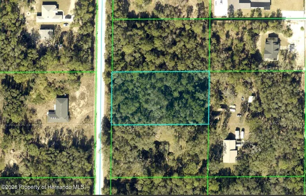 $39,900 | 0 Alloy Street, Webster, FL 33597