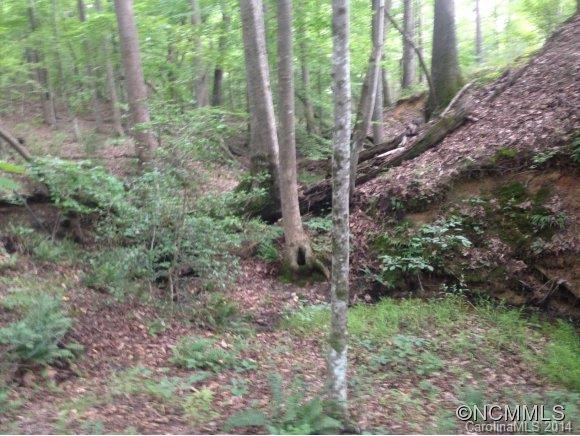 0 Hatcher Road Ellenboro, NC 28040 - Photo 3 of 6 Gallery Image 3