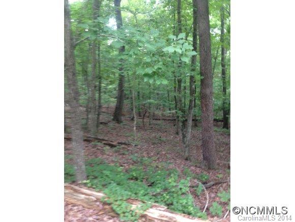 0 Hatcher Road Ellenboro, NC 28040 - Photo 5 of 6 Gallery Image 5