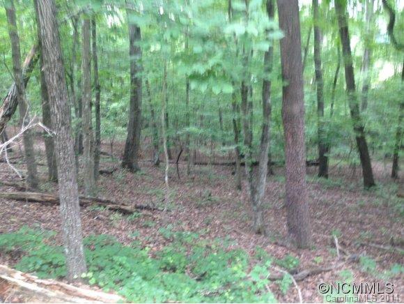 0 Hatcher Road Ellenboro, NC 28040 - Photo 6 of 6 Gallery Image 6