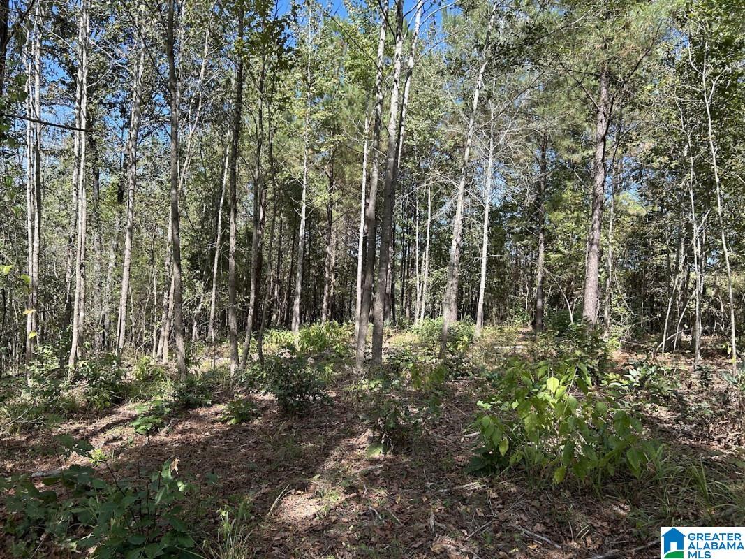 North Hagler Road Northport, AL 35475 - Photo 2 of 12