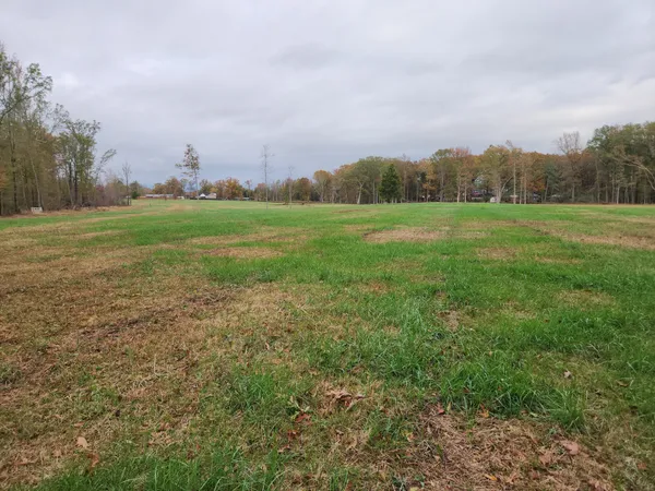 a view of field with green space