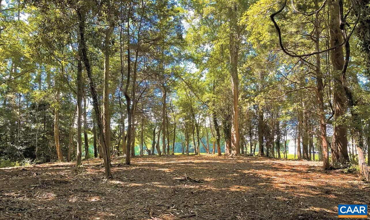 Tbd Pecan Lane Cardinal, VA 23025 - Photo 12 of 13