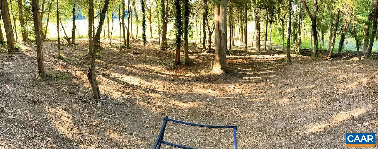 Tbd Pecan Lane Cardinal, VA 23025 - Photo 13 of 13