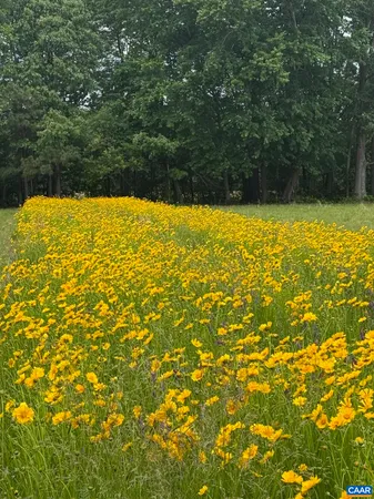 $425,000 | Tbd Pecan Lane, Cardinal, VA 23025