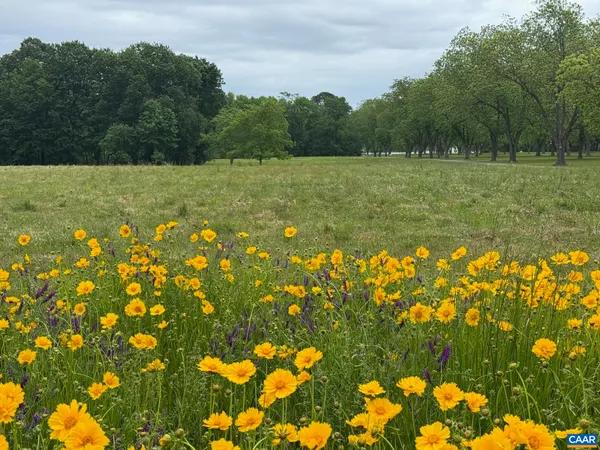 $425,000 | Tbd Pecan Lane, Cardinal, VA 23025