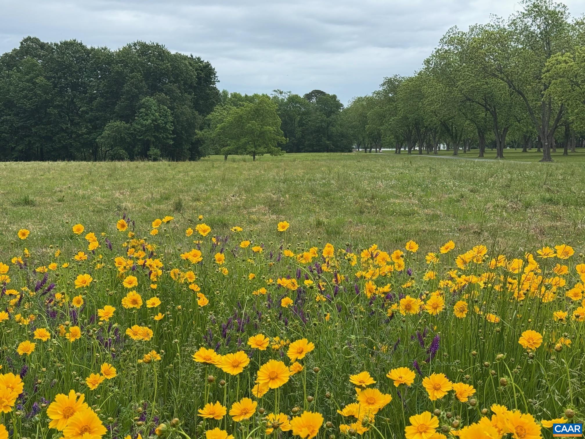 Tbd Pecan Lane Cardinal, VA 23025 - Photo 9 of 13