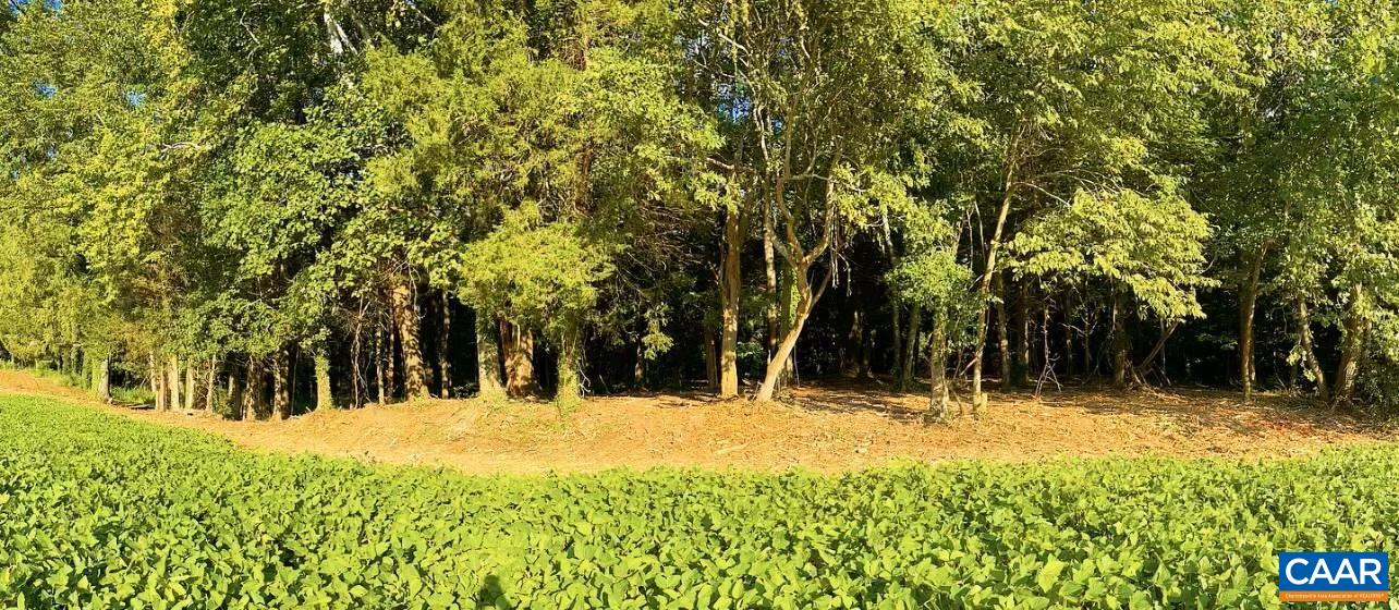 Tbd Pecan Lane Cardinal, VA 23025 - Photo 10 of 13