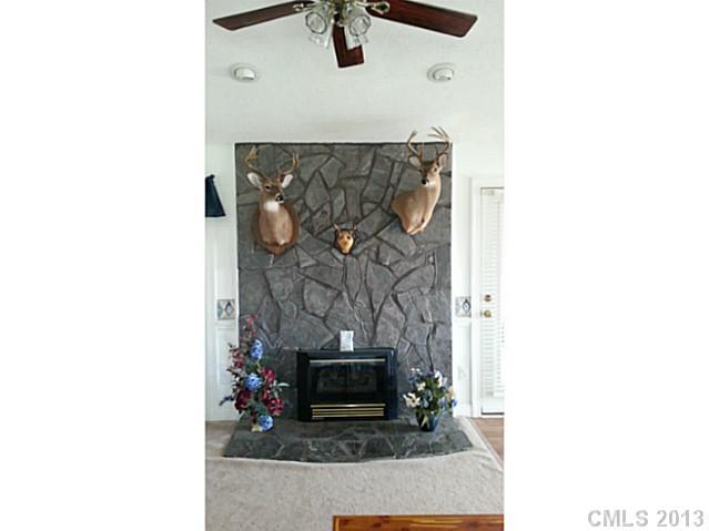 1344 Bowers Road Peachland, NC 28133 - Photo 13 of 15 a living room with a fireplace