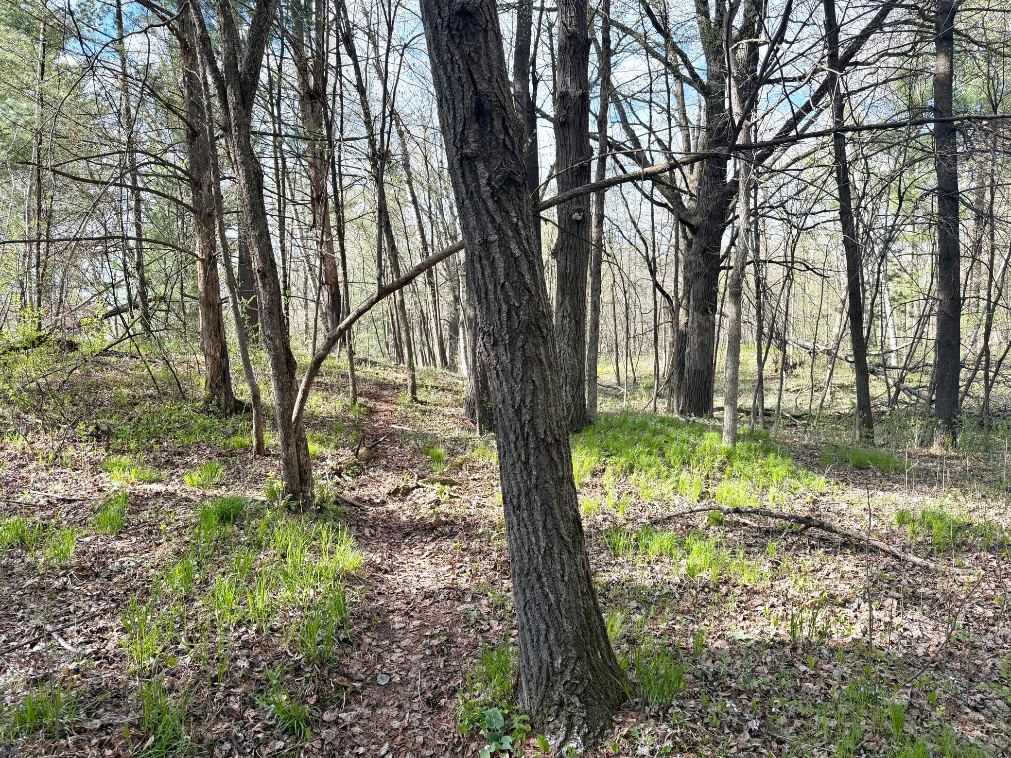 Tbd County Line Avenue Clear Lake, WI 54005 - Photo 11 of 12