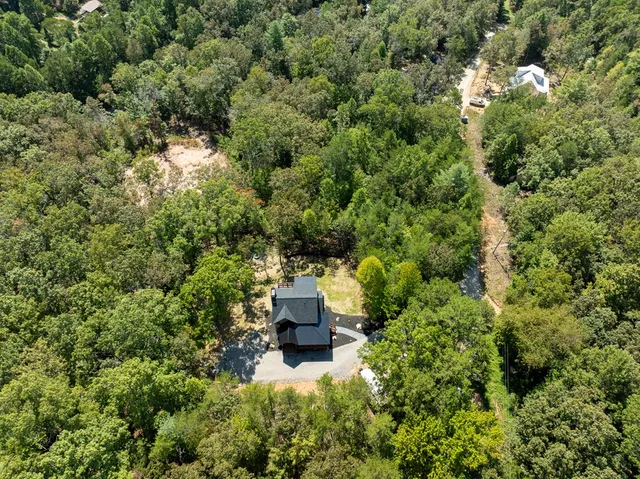 a view of a lush green forest with trees and houses