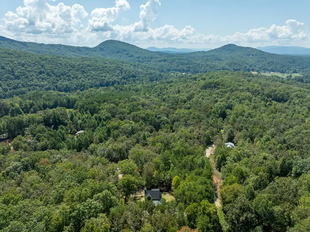 a view of a lush green forest with lots of trees