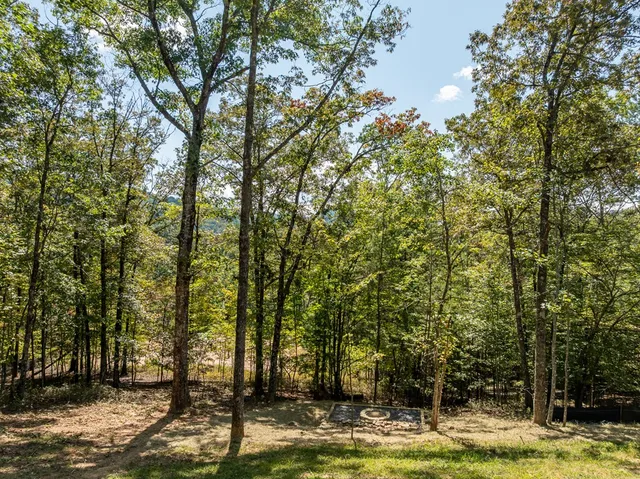a view of a balcony with wooden floor