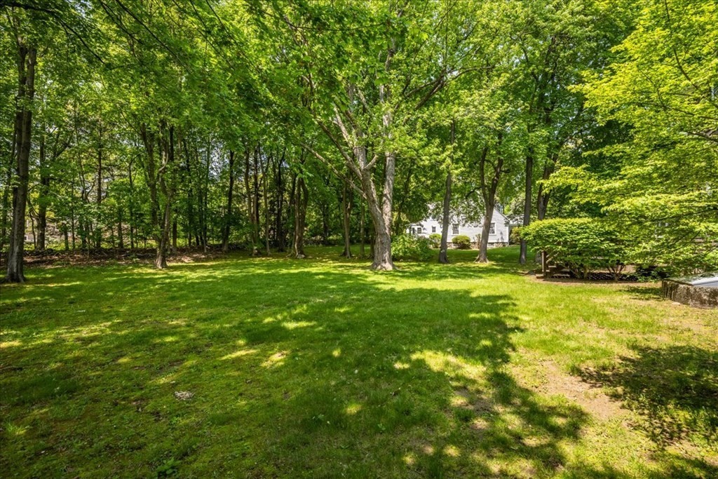 30 Cross Street Shrewsbury, MA 01545 - Photo 31 of 41 a view of a park with large trees