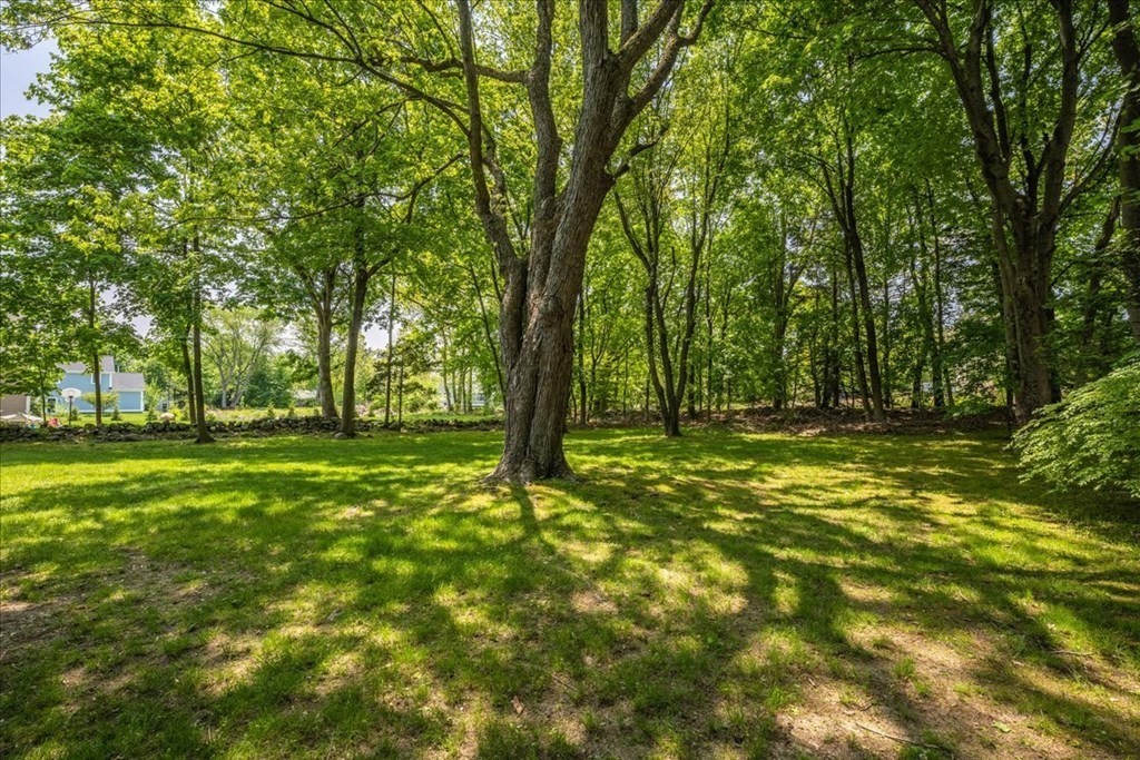 30 Cross Street Shrewsbury, MA 01545 - Photo 4 of 41 a view of outdoor space with deck and trees