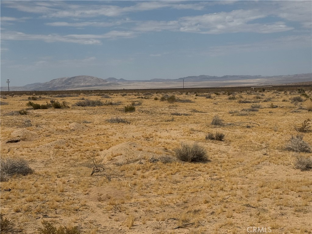 62626 Pole Road Joshua Tree, CA 92252 - Photo 4 of 20 Gallery Image 4