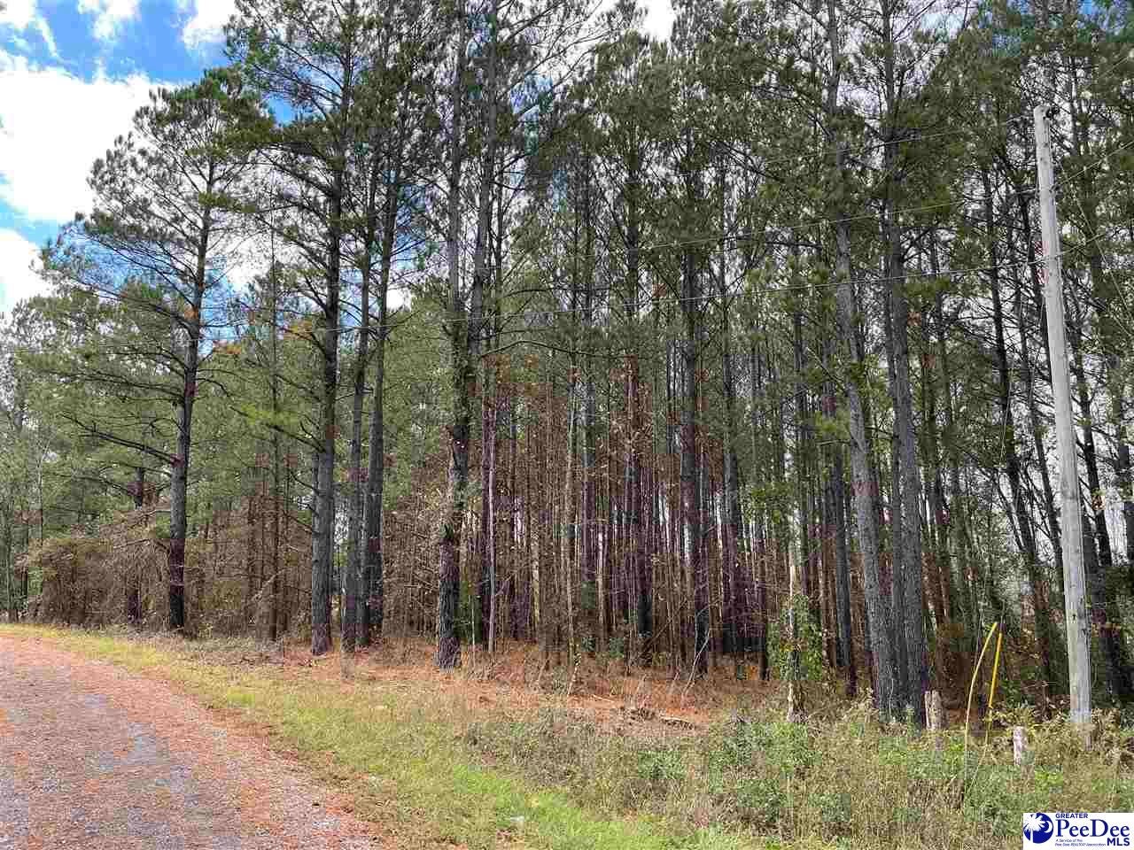 77 Hunters Run Lane Wallace, SC 29596 - Photo 1 of 5 Gallery Image 1