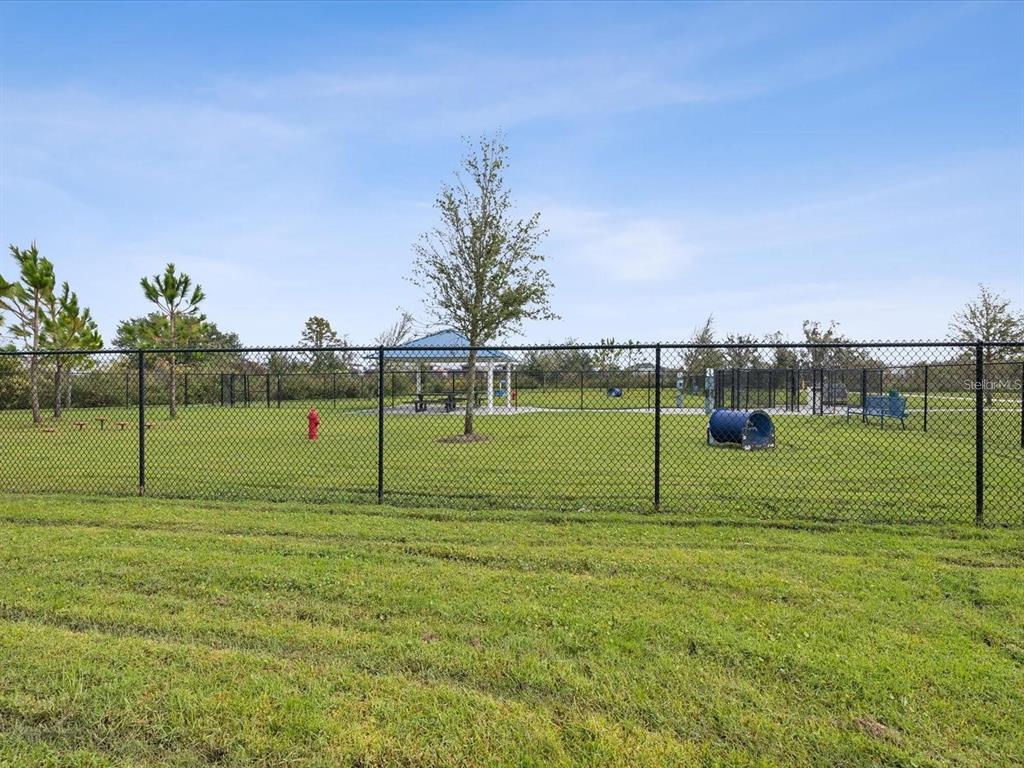 9176 Forge Breeze Loop Wesley Chapel, FL 33545 - Photo 32 of 33 a view of a park