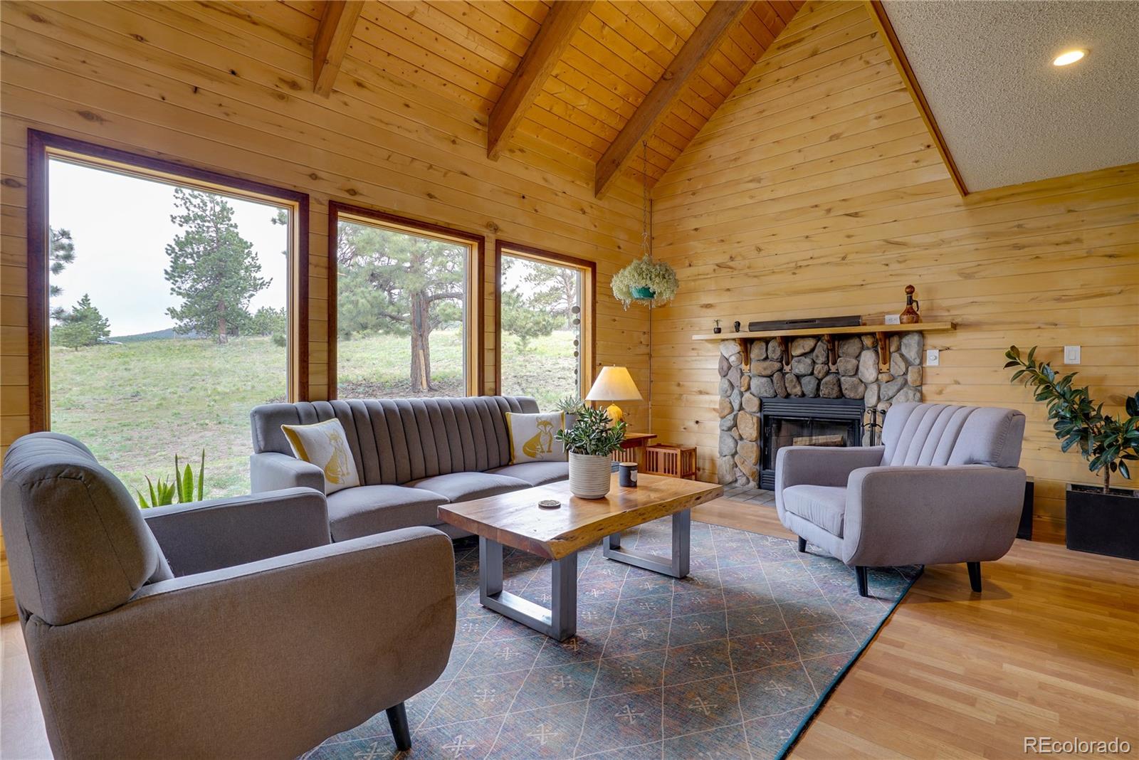4679 Campfire Road Hartsel, CO 80449 - Photo 4 of 40