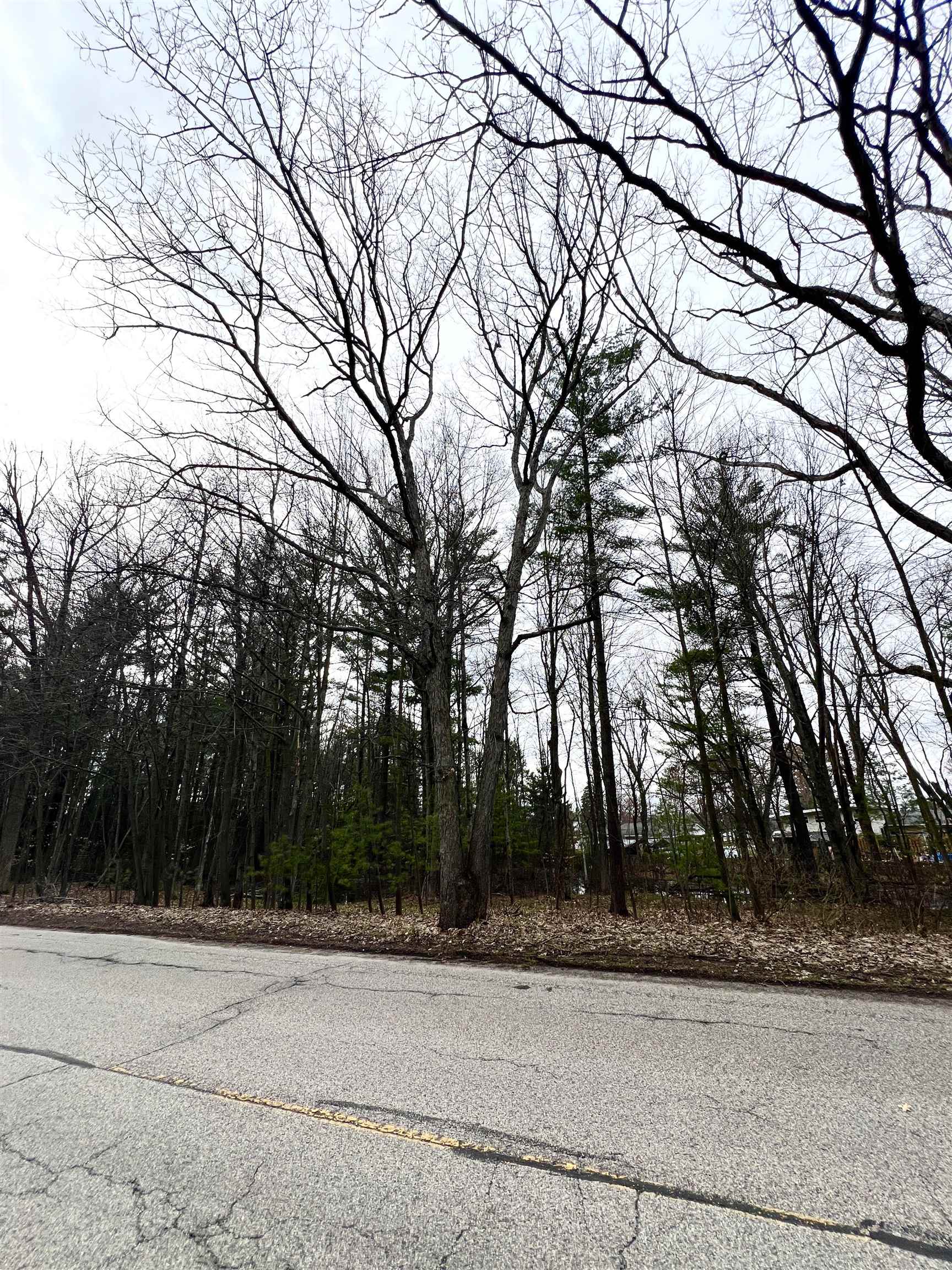 0 Kenwood Road Cadillac, MI 49601 - Photo 6 of 9