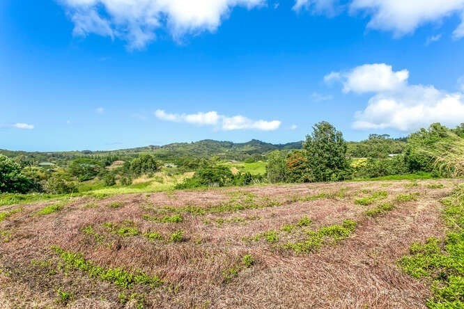 4758 Lae Road, Unit C Kalaheo, HI 96741 - Photo 1 of 8 a view of an outdoor space with a lake view