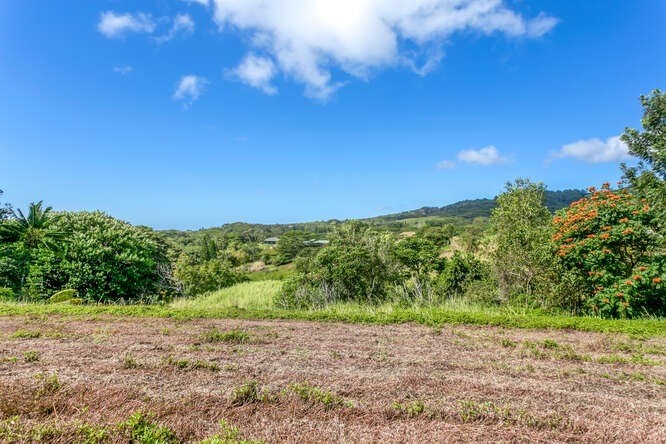 4758 Lae Road, Unit C Kalaheo, HI 96741 - Photo 8 of 8 a view of a road with a yard