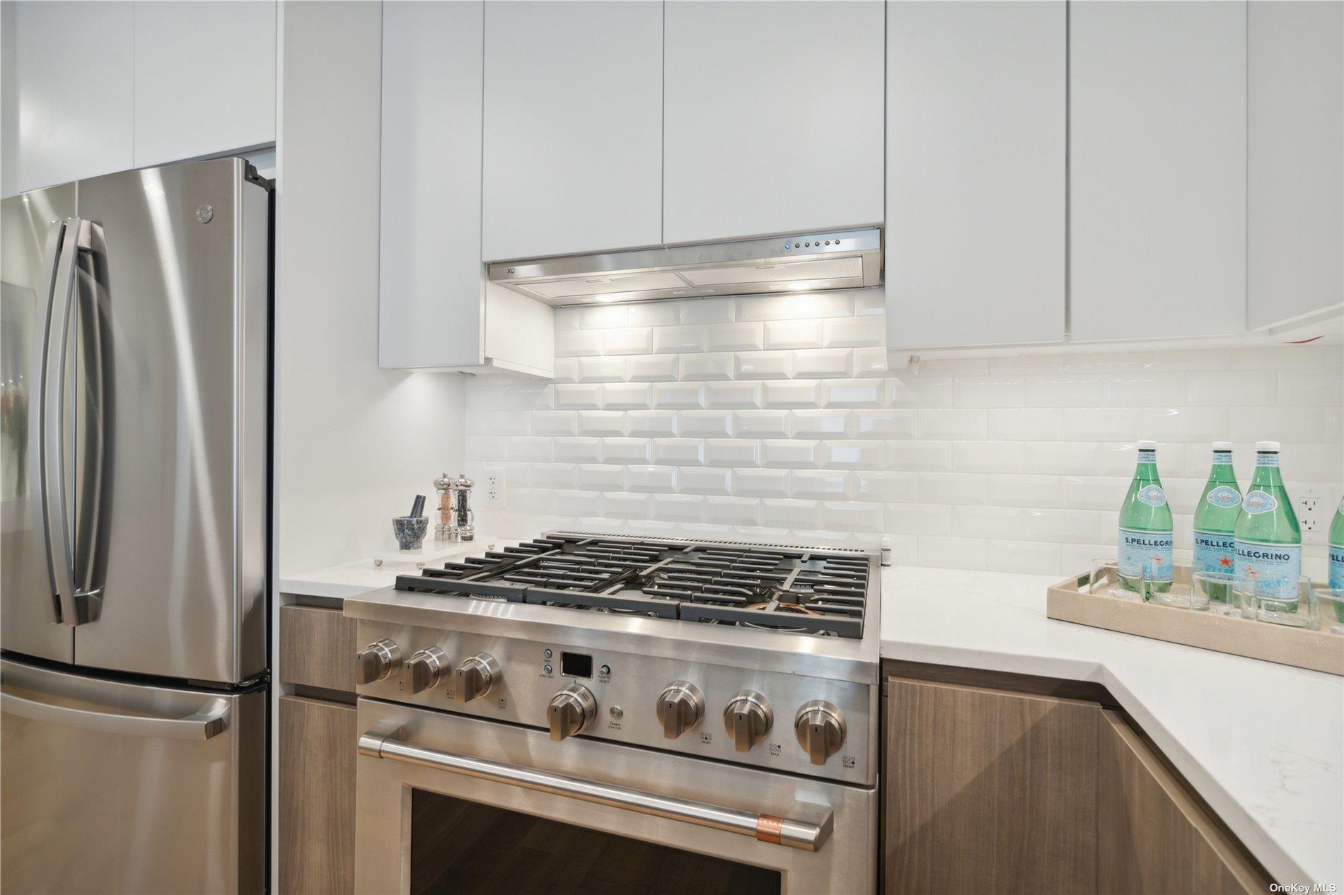 218 Middle Neck Road, Unit 110 Great Neck, NY 11021 - Photo 19 of 19 a kitchen with stainless steel appliances granite countertop a stove a refrigerator and a refrigerator