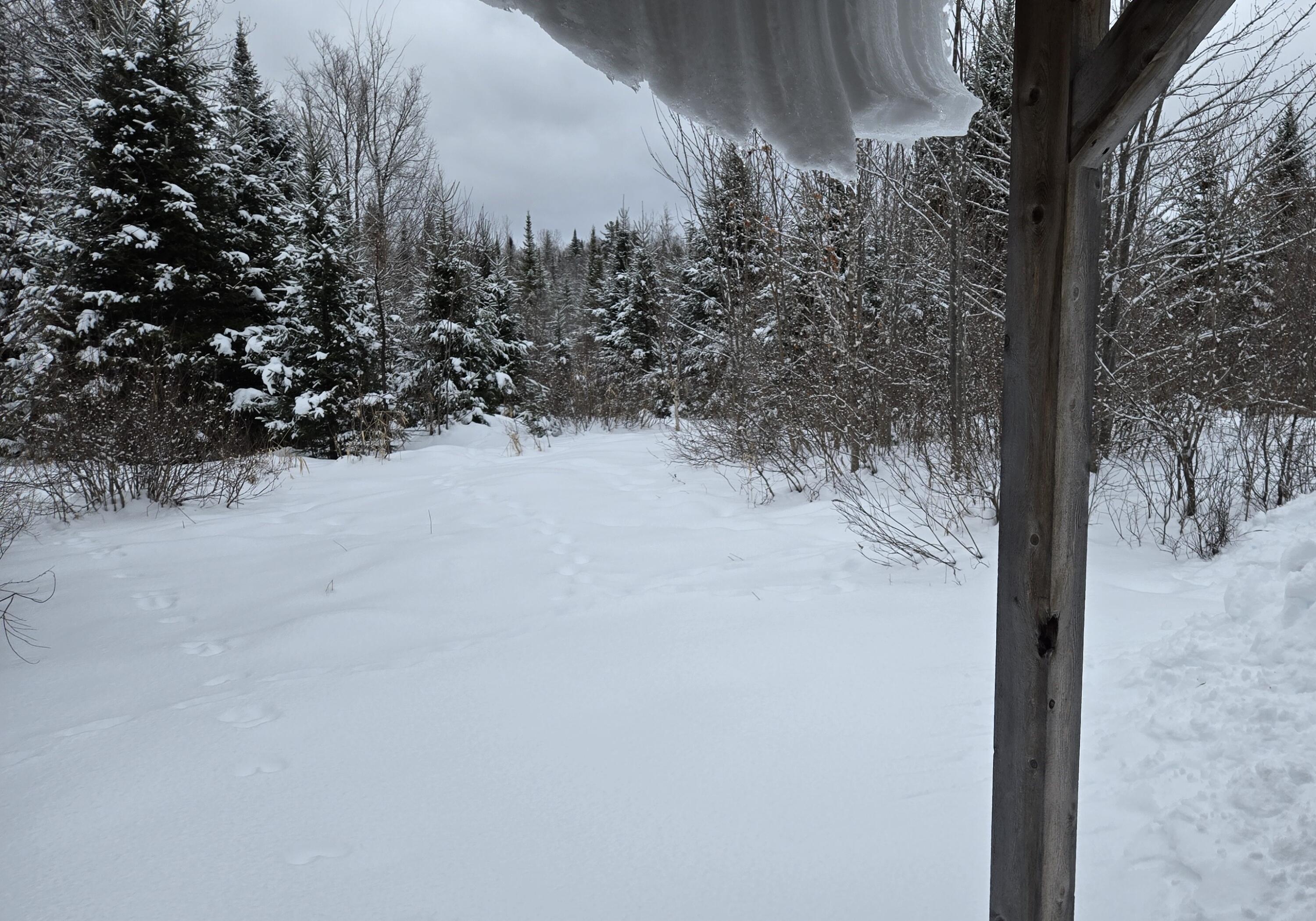 57.6 Webber Road Crystal, ME 04747 - Photo 7 of 16 20240202_111150