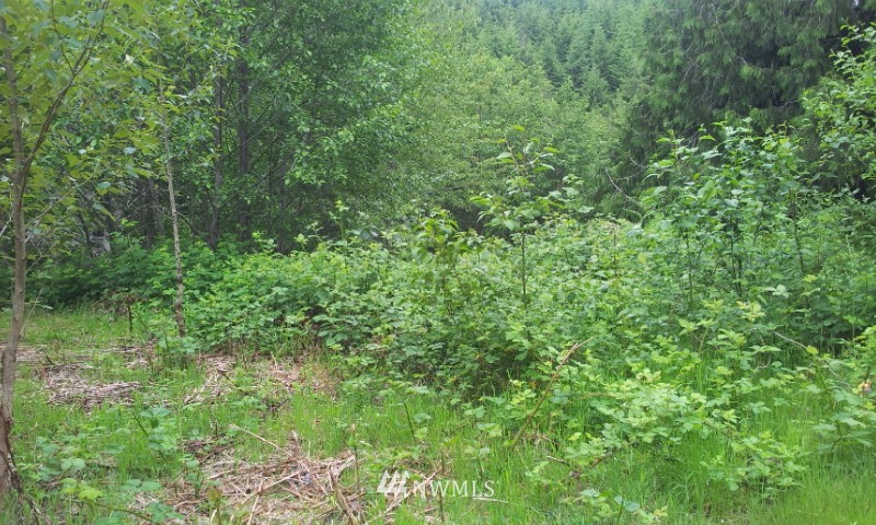 104 Crumb Road, Unit 36 Morton, WA 98356 - Photo 14 of 15 Gallery Image 14
