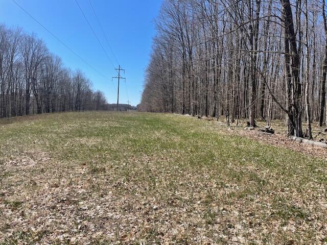Bilder Road Wolverine, MI 49799 - Photo 18 of 22 Gallery Image 18
