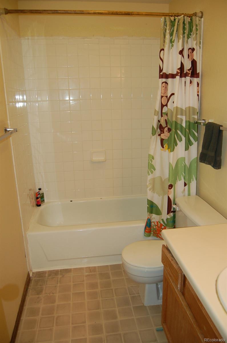 332 Northridge Road Highlands Ranch, CO 80126 - Photo 27 of 32