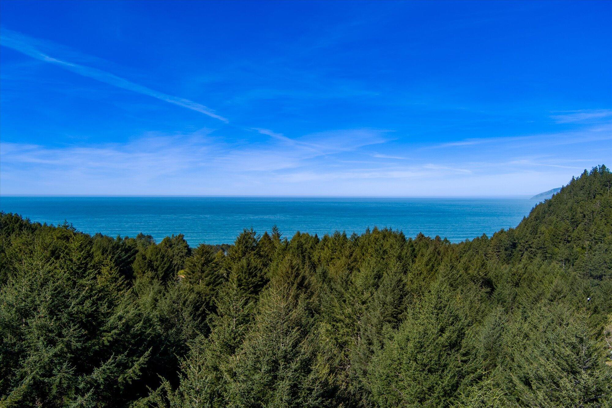 472 Beach Road Shelter Cove, CA 95589 - Photo 48 of 49
