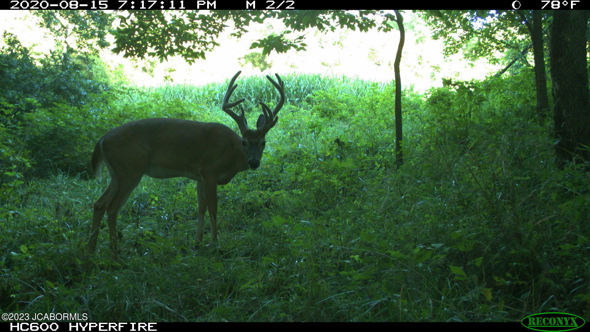 Tbd Big Lick Road Boonville, MO 65233 - Photo 52 of 59