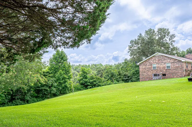 a view of a large garden with plants and large trees