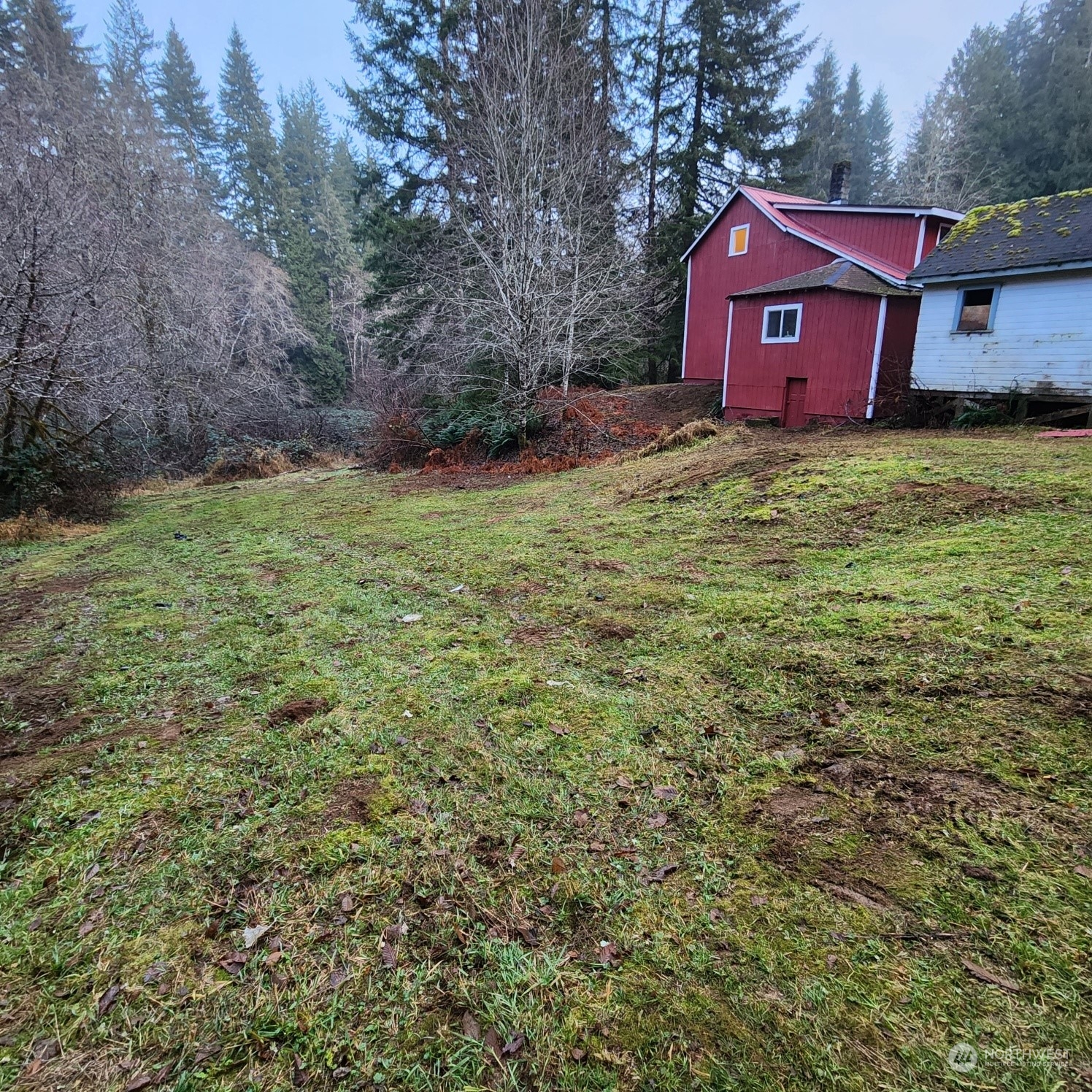62 Kin Road Naselle, WA 98638 - Photo 18 of 20 a view of a yard with large trees