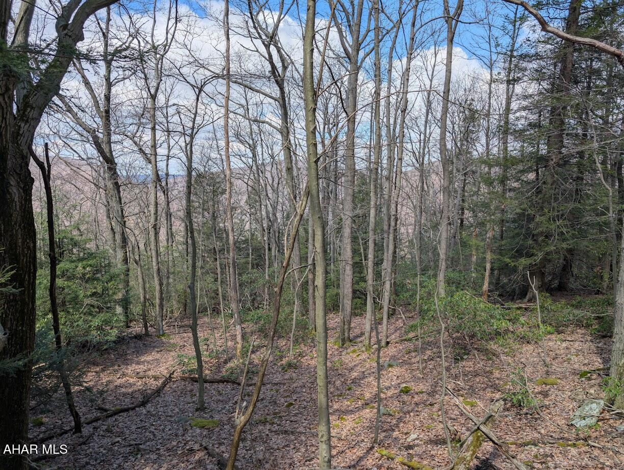 189 Ridge Run Road Imler, PA 16655 - Photo 11 of 11