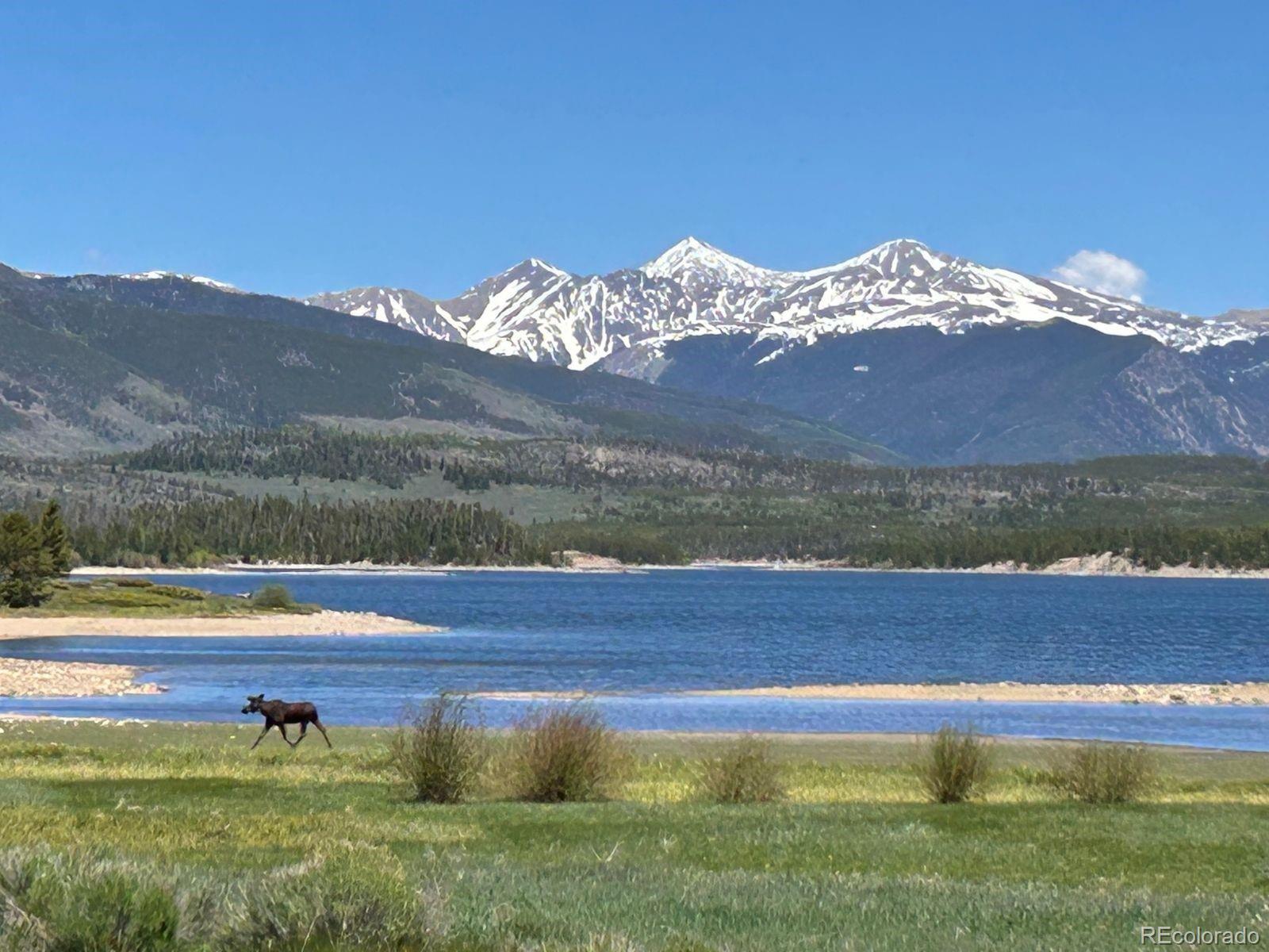 114 Beaver Lodge Road, Unit 116 Frisco, CO 80443 - Photo 9 of 50