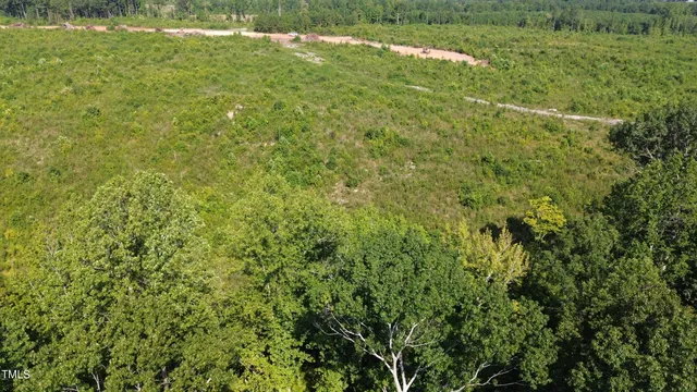 a view of a big yard with large trees