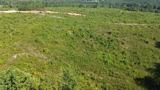 a view of a large yard with lots of green space and deers
