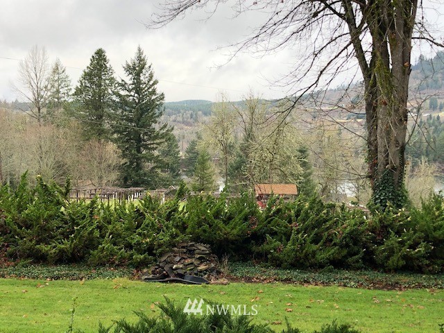 388 Birley Road Mossyrock, WA 98564 - Photo 6 of 6 Gallery Image 6