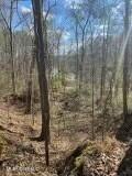 Lot 11 Turkey Creek Road Natchez, MS 39120 - Photo 5 of 6 tempImageycSCTW