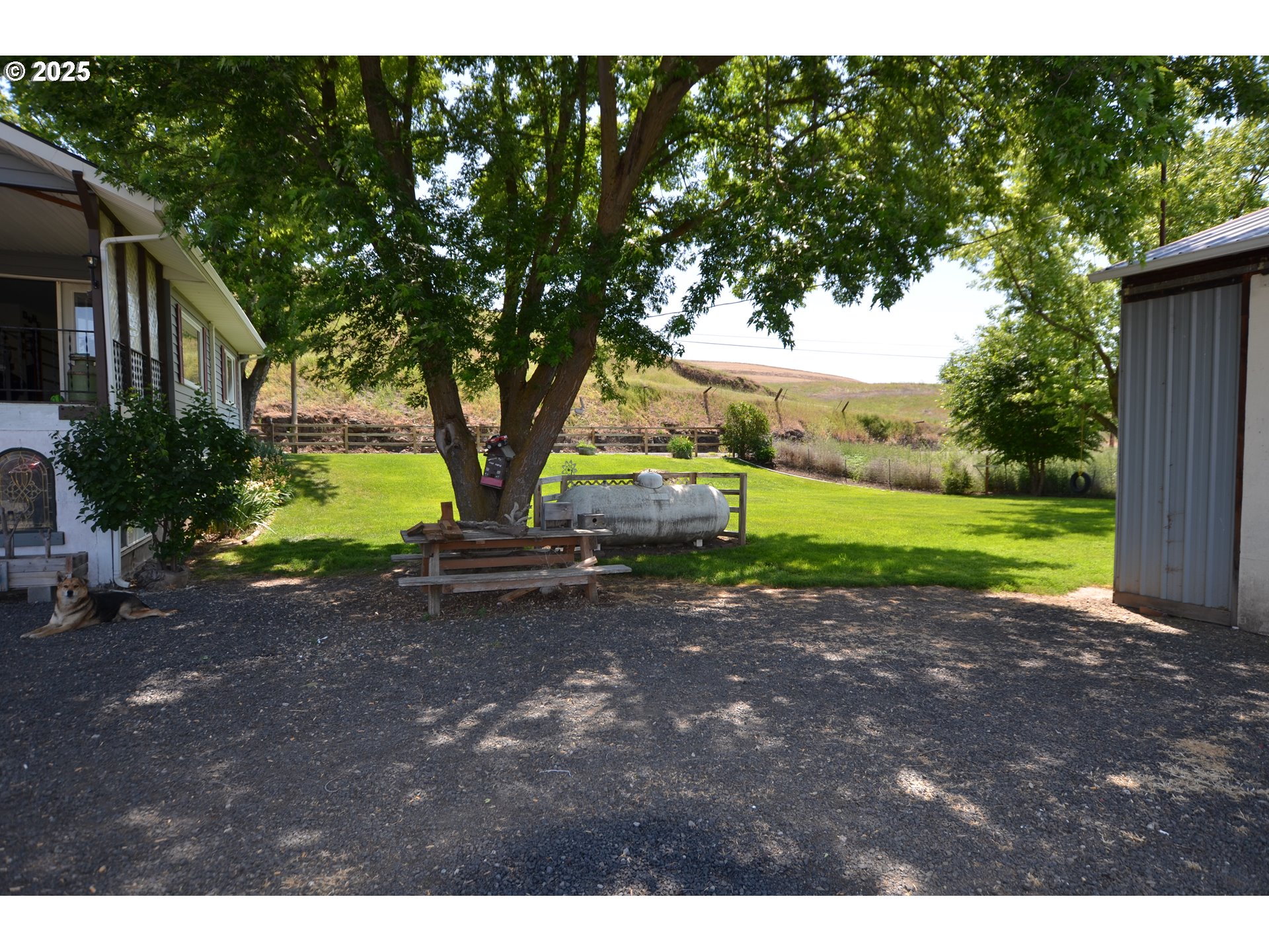 46083 Adams Road Pendleton, OR 97801 - Photo 12 of 47 a view of a park with large trees