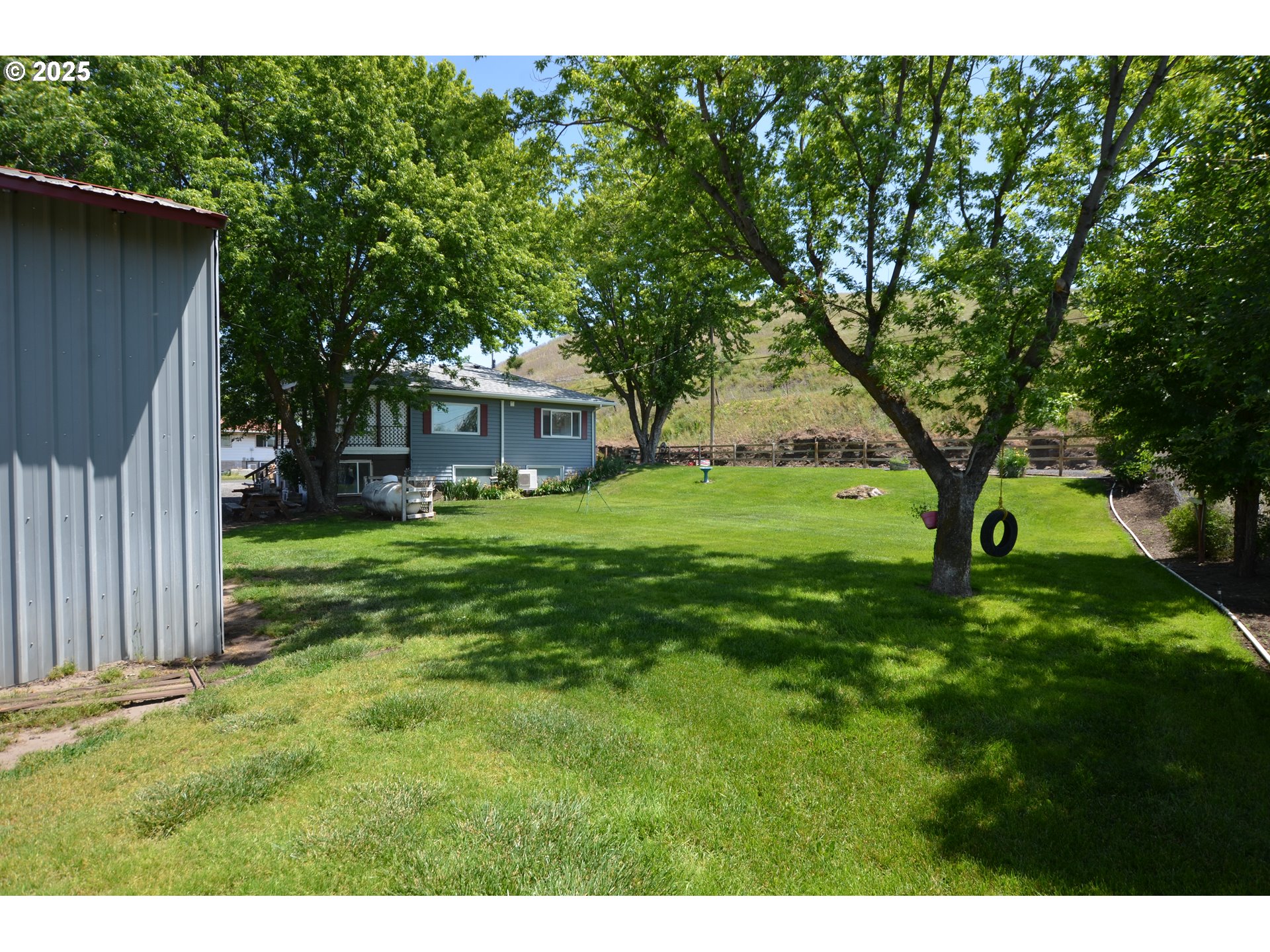 46083 Adams Road Pendleton, OR 97801 - Photo 17 of 47 a view of a yard with plants and a large tree
