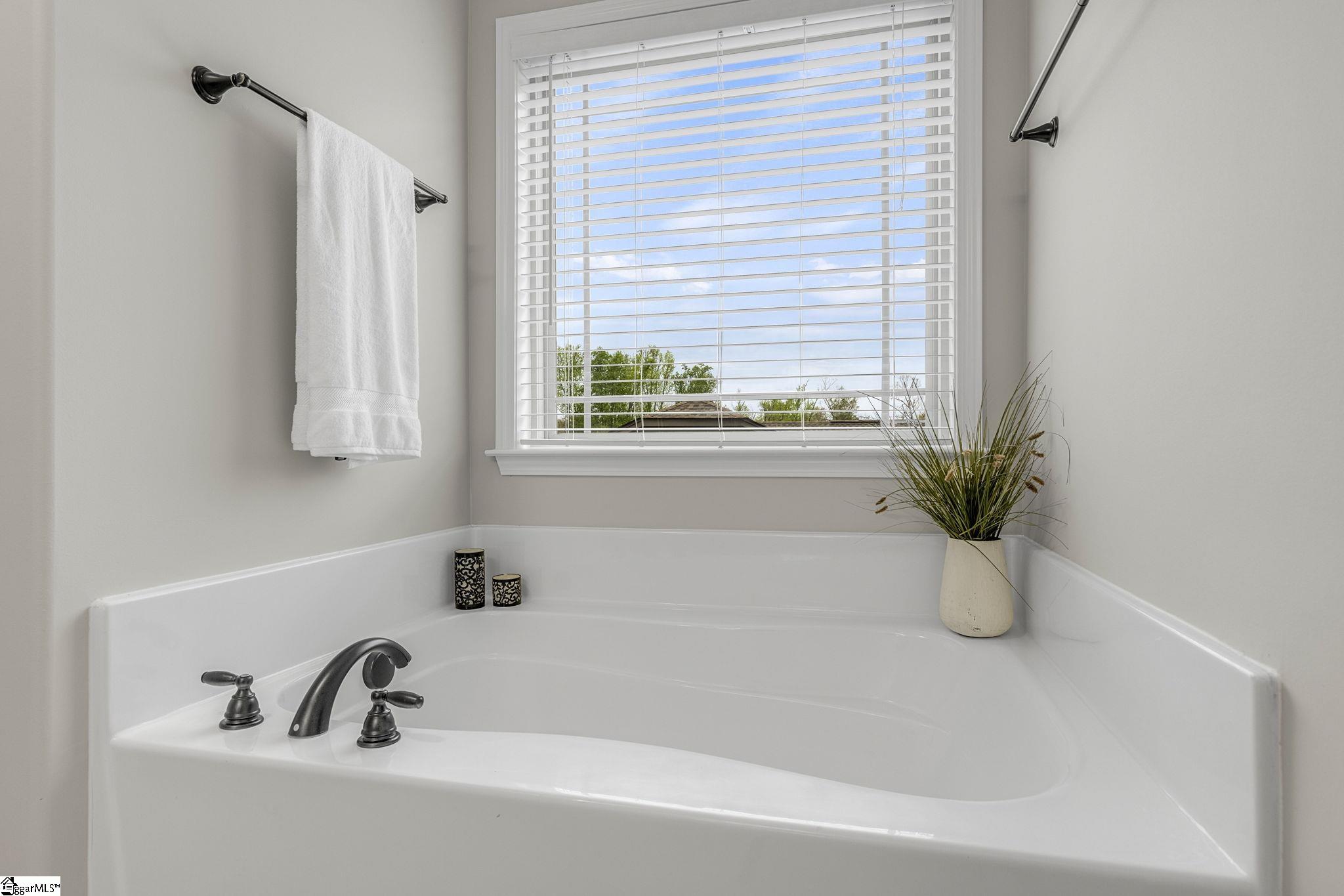 9 Amber Oaks Drive Greer, SC 29651 - Photo 20 of 40