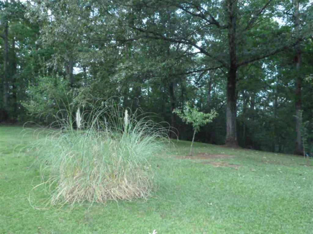 350 Rocky Knoll Road Walhalla, SC 29691 - Photo 24 of 25 Gallery Image 24