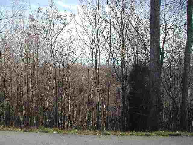 0 Bramlett Road, Unit PACKS MOUNTAIN RIDGE ROAD Taylors, SC 29687 - Photo 2 of 7 Gallery Image 2