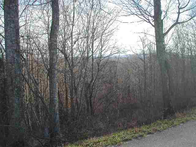 0 Bramlett Road, Unit PACKS MOUNTAIN RIDGE ROAD Taylors, SC 29687 - Photo 3 of 7 Gallery Image 3