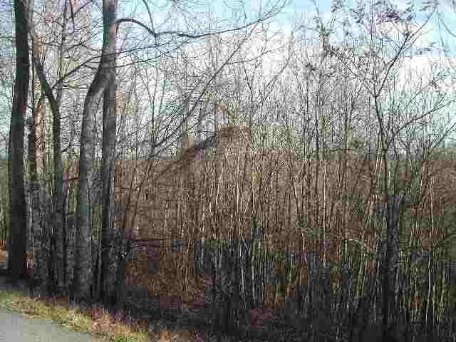 0 Bramlett Road, Unit PACKS MOUNTAIN RIDGE ROAD Taylors, SC 29687 - Photo 5 of 7 Gallery Image 5